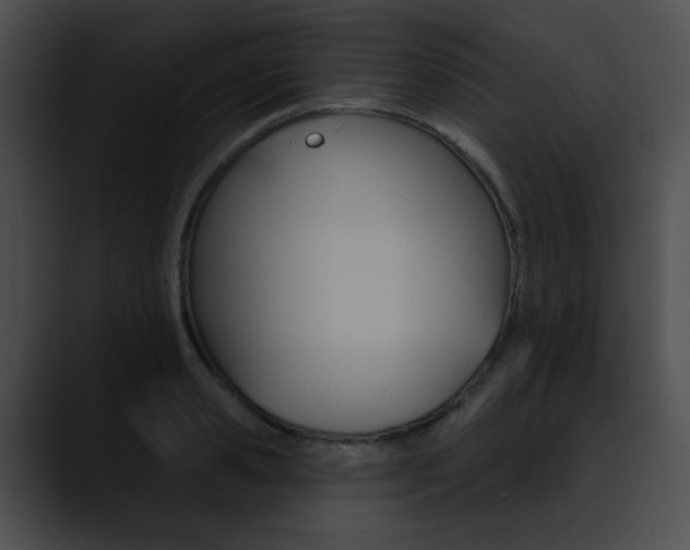 X0000090630941200707171132