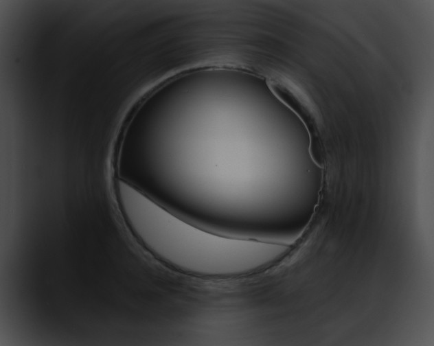 X0000090630944200707171132