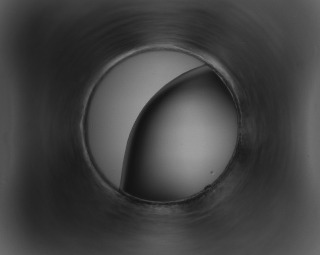 X0000090630951200707171132