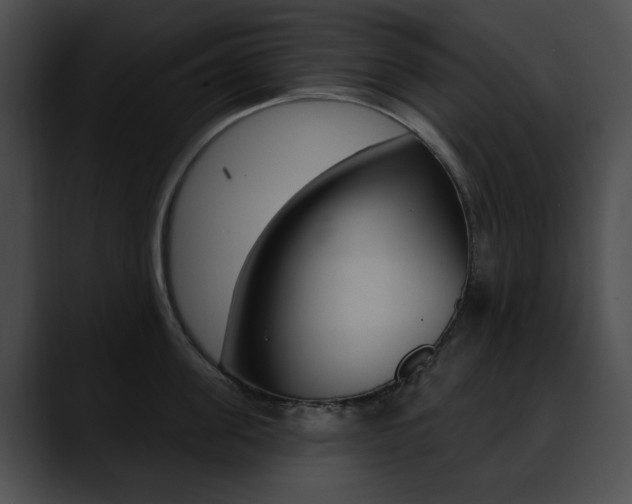 X0000090630955200707171132
