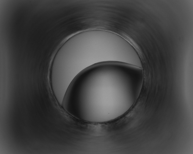 X0000090630956200707171132