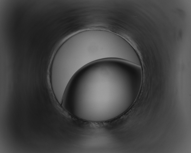 X0000090630960200707171132
