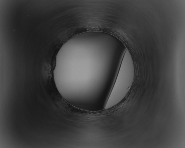 X0000090630964200707171132