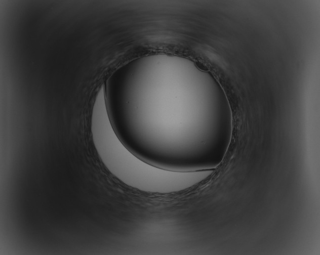 X0000090630965200707171132