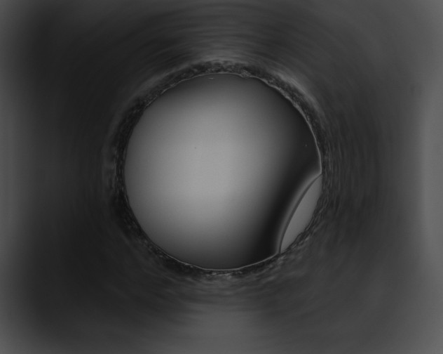 X0000090630968200707171132