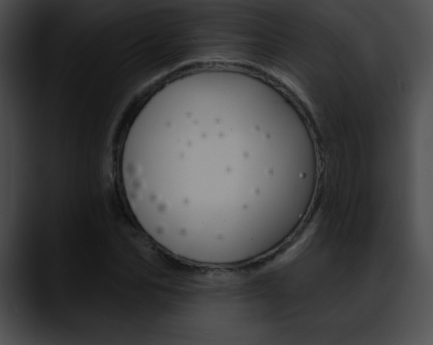 X0000090630974200707171132