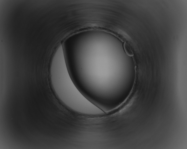 X0000090630977200707171132