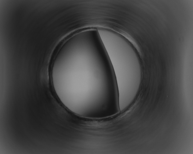 X0000090630980200707171132