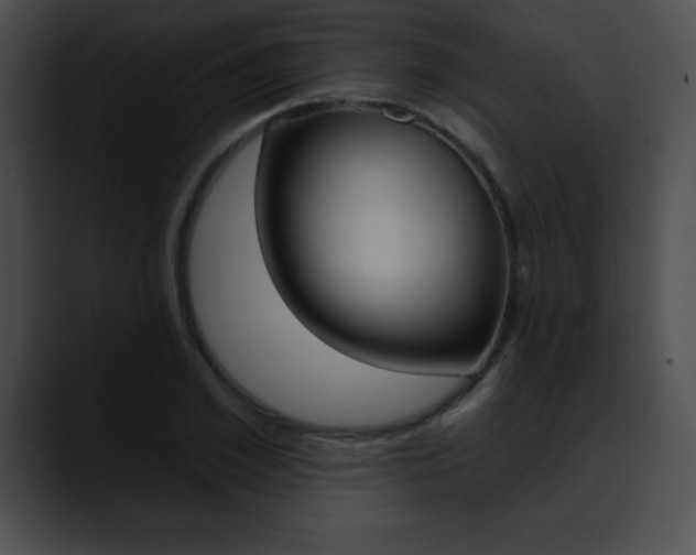 X0000090630981200707171132