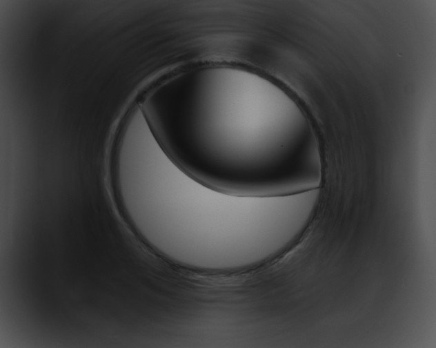 X0000090630984200707171132