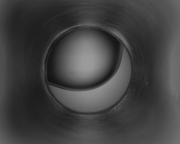 X0000090630996200707171131