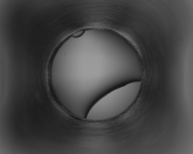 X0000090630998200707171131