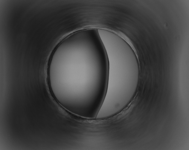 X0000090631005200707171131