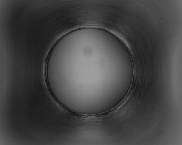 X0000090631006200707171131