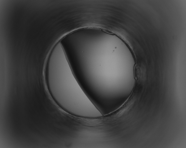 X0000090631007200707171131