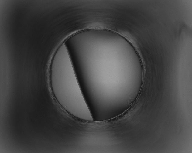 X0000090631008200707171131