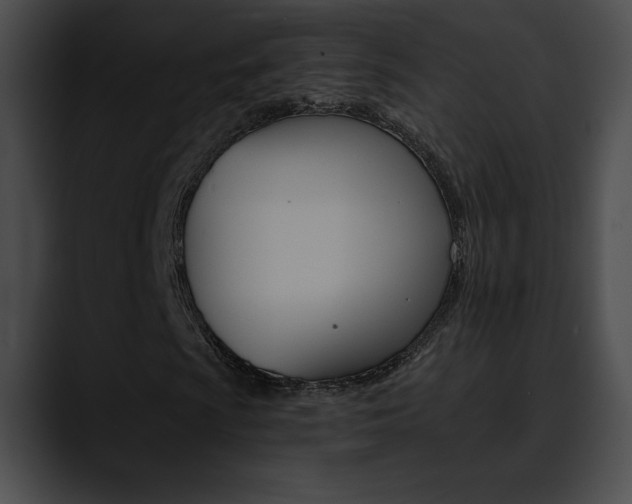 X0000090631009200707171131
