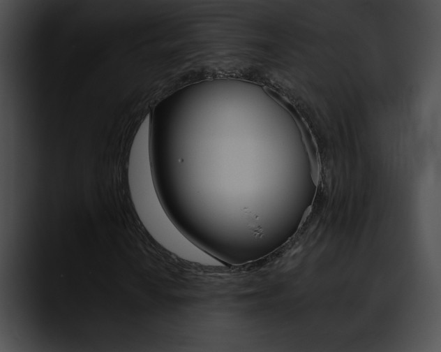 X0000090631010200707171131