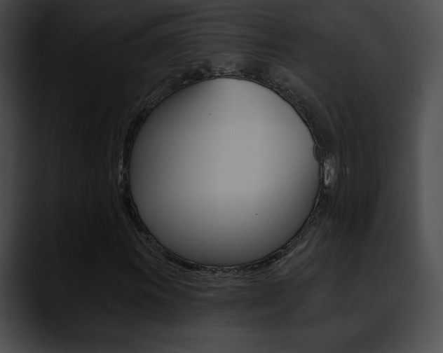 X0000090631011200707171131