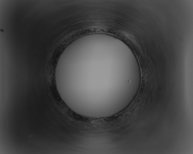 X0000090631015200707171131