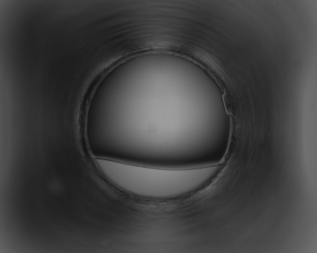 X0000090631026200707171131