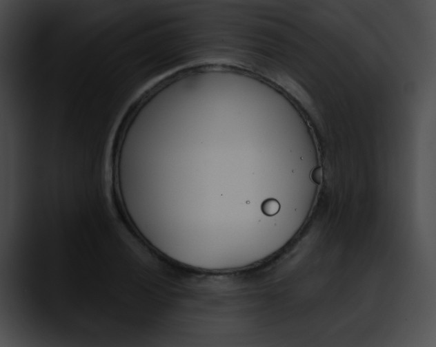 X0000090631028200707171131