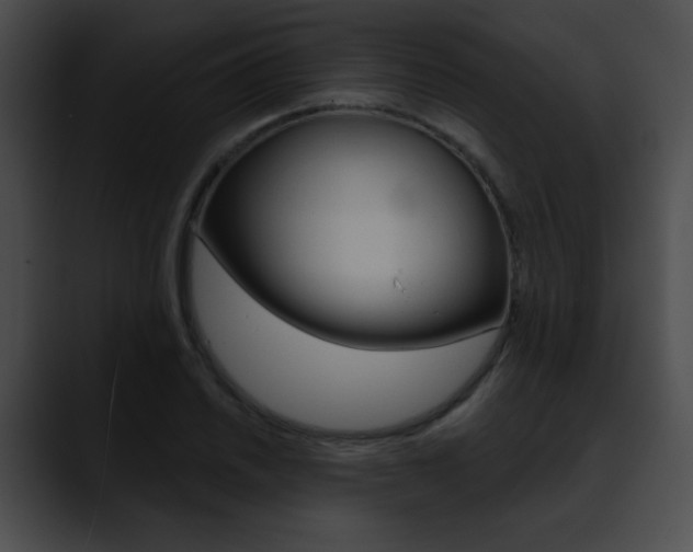 X0000090631030200707171131