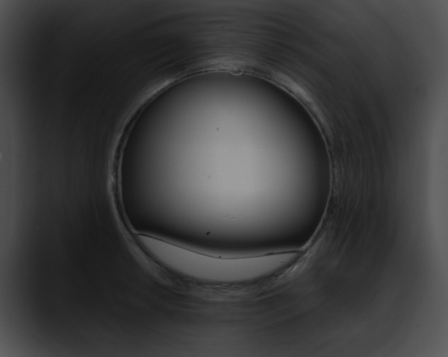 X0000090631042200707171131