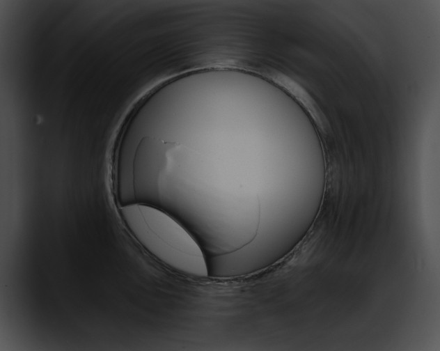 X0000090631051200707171131