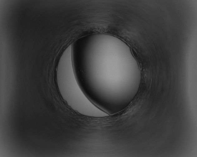 X0000090631057200707171131