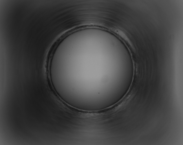 X0000090631068200707171131