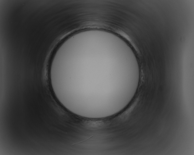 X0000090631074200707171131