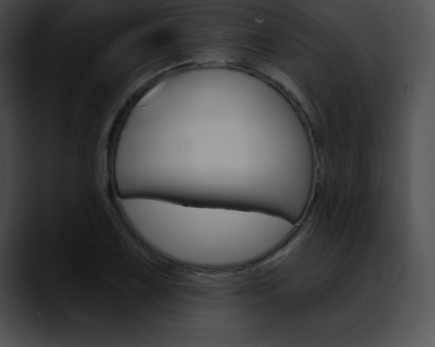 X0000090631075200707171131