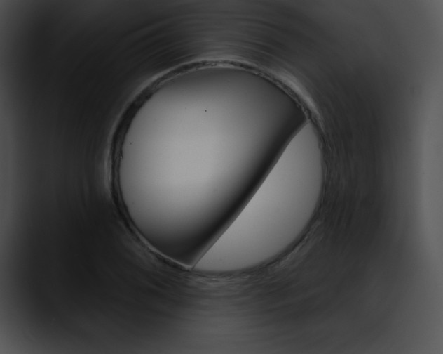 X0000090631076200707171131