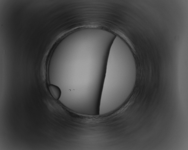 X0000090631083200707171130