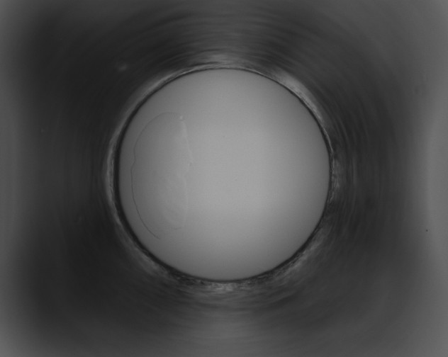 X0000090631098200707171130