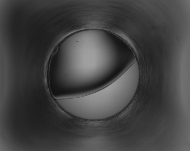 X0000090631102200707171130
