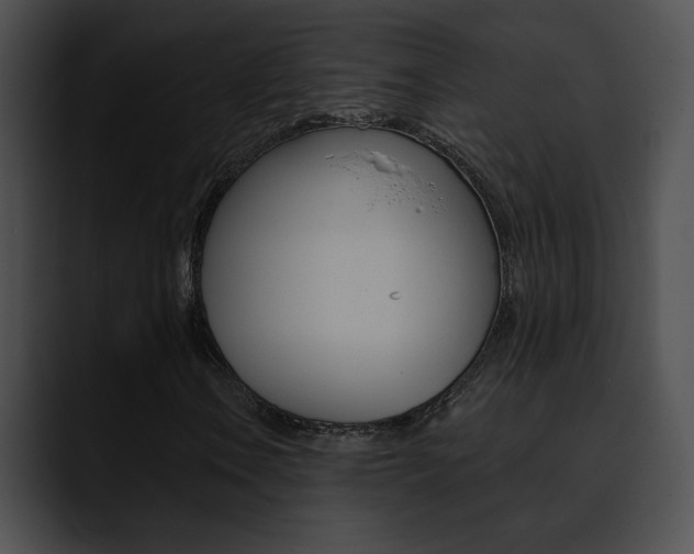 X0000090631106200707171130
