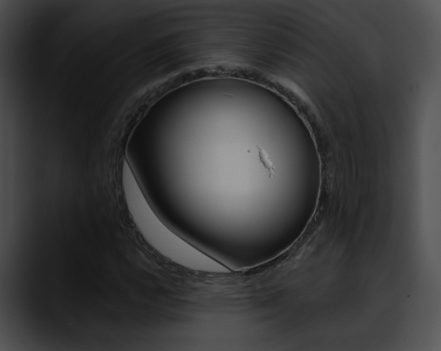 X0000090631112200707171130