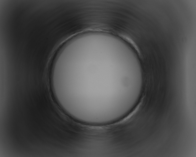 X0000090631114200707171130