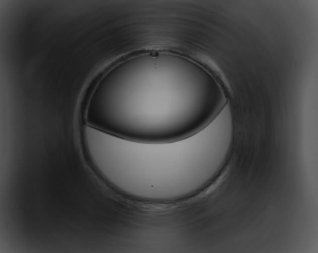 X0000090631122200707171130
