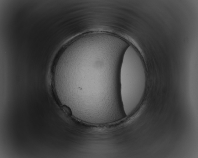 X0000090631125200707171130