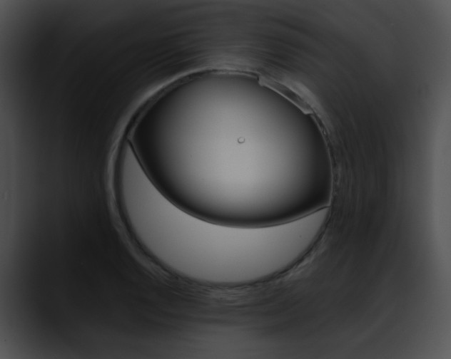 X0000090631128200707171130