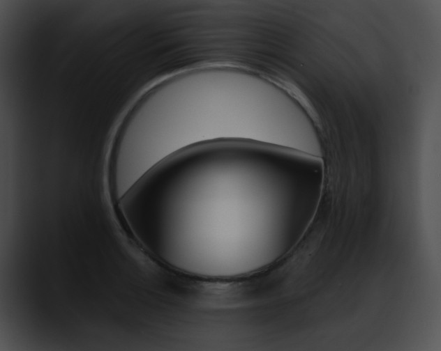 X0000090631132200707171130