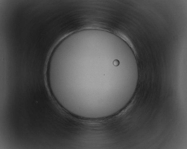 X0000090631138200707171130