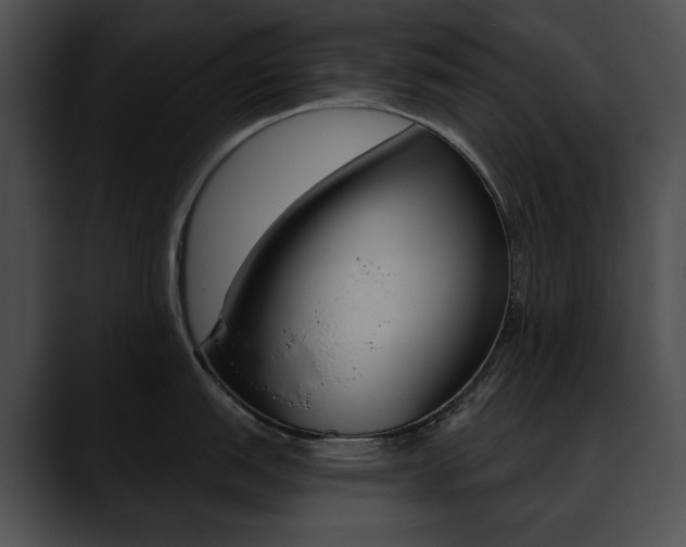 X0000090631151200707171130