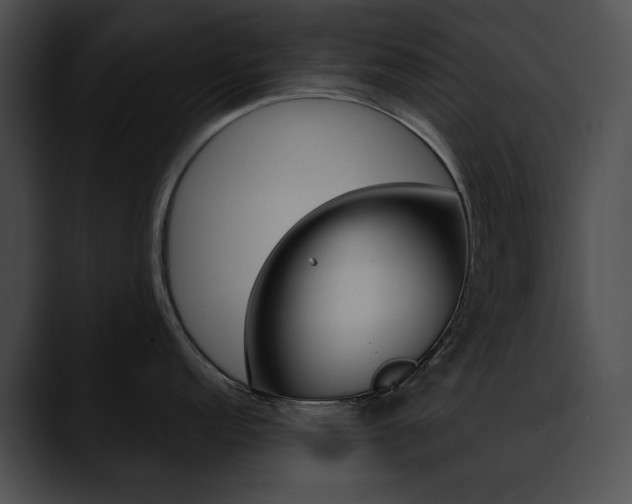 X0000090631152200707171130