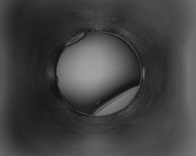 X0000090631155200707171130