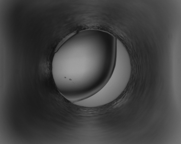 X0000090631156200707171130