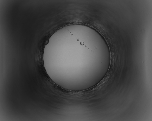 X0000090631158200707171130